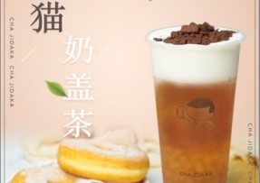 球探体育比分网：熊猫奶盖茶